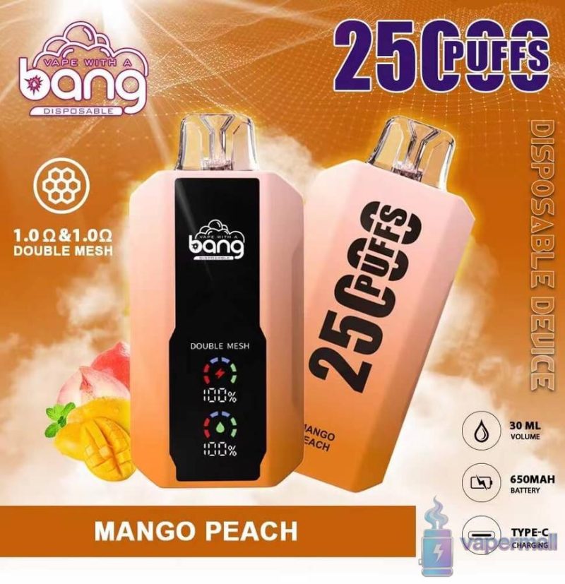 Bang 25000 Vape jetable : 25 000 bouffes, 650mAh rechargeable, 12 armes -  Vente en gros et achat group de Vapes jetables
