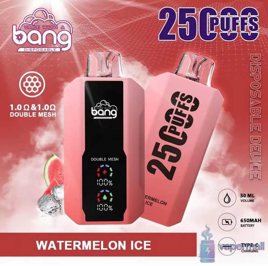 Bang 25000 Vape jetable : 25 000 bouffes, 650mAh rechargeable, 12 armes -  Vente en gros et achat group de Vapes jetables